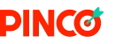 Logo pinco-guncelgiris.space